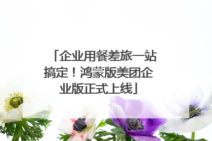 企业用餐差旅一站搞定！鸿蒙版美团企业版正式上线