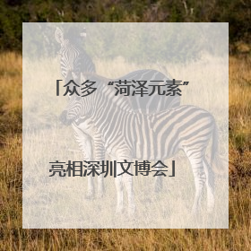 众多“菏泽元素”亮相深圳文博会