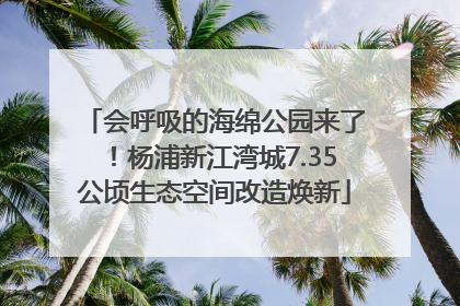 会呼吸的海绵公园来了！杨浦新江湾城7.35公顷生态空间改造焕新