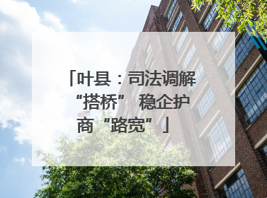 叶县：司法调解“搭桥” 稳企护商“路宽”