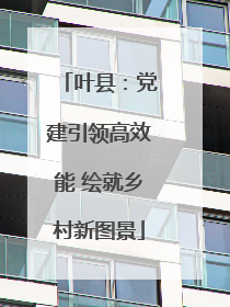 叶县：党建引领高效能 绘就乡村新图景