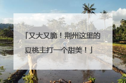 又大又脆！荆州这里的夏桃主打一个甜美！