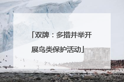 双牌：多措并举开展鸟类保护活动