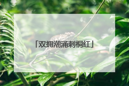 双拥潮涌刺桐红
