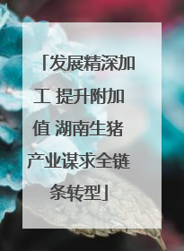 发展精深加工 提升附加值 湖南生猪产业谋求全链条转型