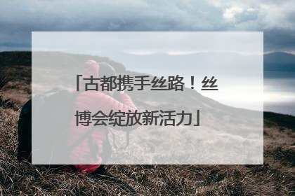 古都携手丝路！丝博会绽放新活力