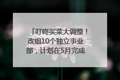 叮咚买菜大调整！改组10个独立事业部，计划在5月完成App端全面改版