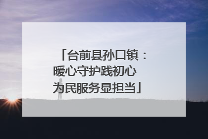 台前县孙口镇：暖心守护践初心 为民服务显担当
