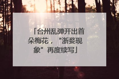 台州乱弹开出首朵梅花，“浙婺现象”再度续写