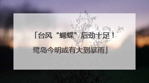台风“蝴蝶”后劲十足！鹭岛今明或有大到暴雨