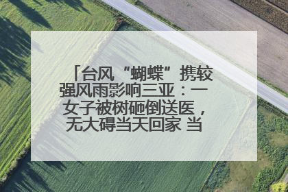 台风“蝴蝶”携较强风雨影响三亚：一女子被树砸倒送医，无大碍当天回家 当地已紧急清障