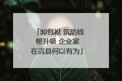 卸包袱 筑防线 帮升级 企业家在嵩县何以有为