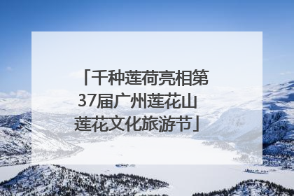 千种莲荷亮相第37届广州莲花山莲花文化旅游节