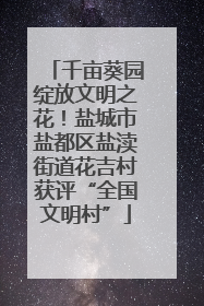 千亩葵园绽放文明之花！盐城市盐都区盐渎街道花吉村获评“全国文明村”