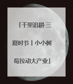千里追耕·三夏时节丨小小树莓拉动大产业