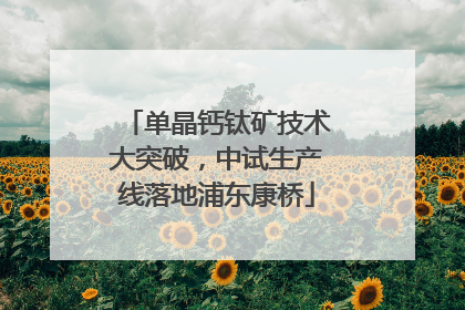 单晶钙钛矿技术大突破，中试生产线落地浦东康桥
