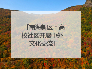 南海新区：高校社区开展中外文化交流