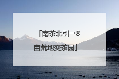 南茶北引→8亩荒地变茶园