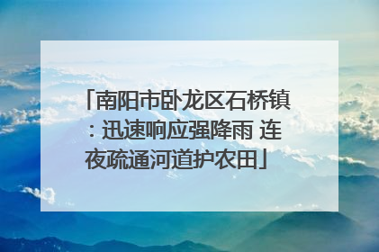 南阳市卧龙区石桥镇：迅速响应强降雨 连夜疏通河道护农田