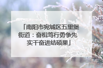 南阳市宛城区五里堡街道：奋楫笃行勇争先 实干奋进结硕果