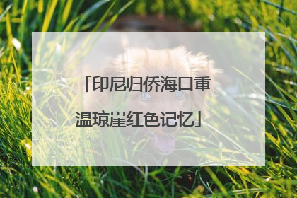印尼归侨海口重温琼崖红色记忆