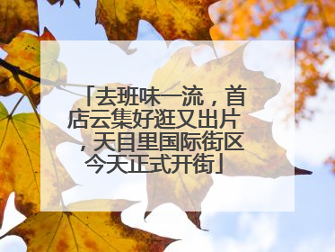去班味一流，首店云集好逛又出片，天目里国际街区今天正式开街