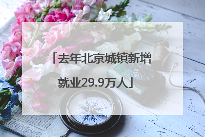 去年北京城镇新增就业29.9万人