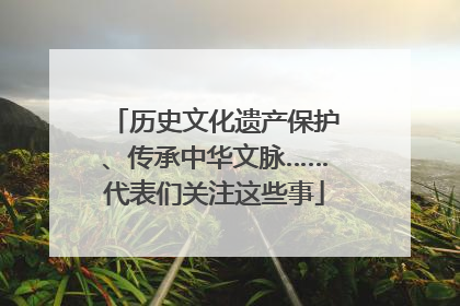 历史文化遗产保护、传承中华文脉……代表们关注这些事