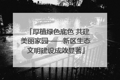 厚植绿色底色 共建美丽家园——新区生态文明建设成效显著