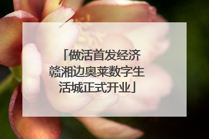 做活首发经济 赣湘边奥莱数字生活城正式开业