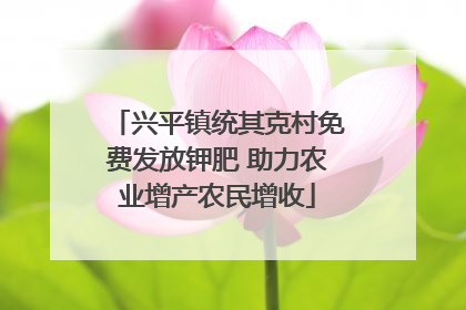 兴平镇统其克村免费发放钾肥 助力农业增产农民增收