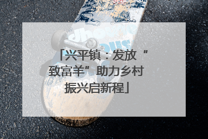 兴平镇：发放“致富羊”助力乡村振兴启新程