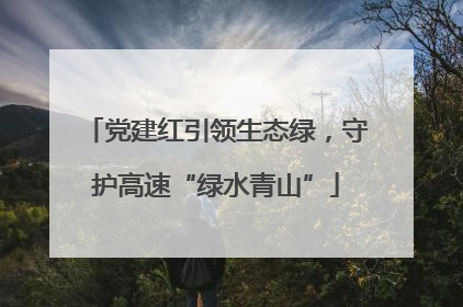 党建红引领生态绿，守护高速“绿水青山”