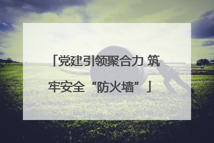 党建引领聚合力 筑牢安全“防火墙”