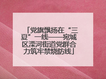 党旗飘扬在“三夏”一线——宛城区溧河街道党群合力筑牢禁烧防线