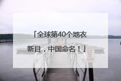 全球第40个地衣新目，中国命名！