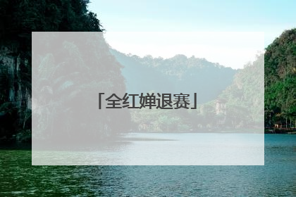 全红婵退赛