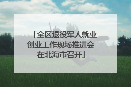 全区退役军人就业创业工作现场推进会在北海市召开