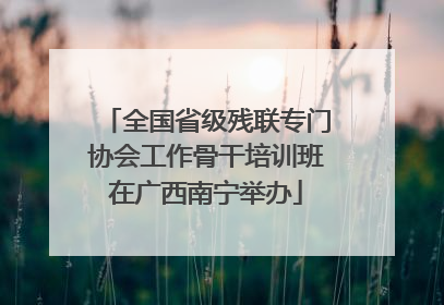 全国省级残联专门协会工作骨干培训班在广西南宁举办