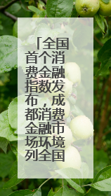 全国首个消费金融指数发布，成都消费金融市场环境列全国第六