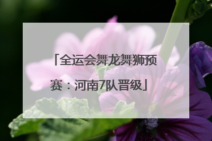 全运会舞龙舞狮预赛：河南7队晋级