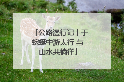 公路漫行记丨于蜿蜒中游太行 与山水共徜徉