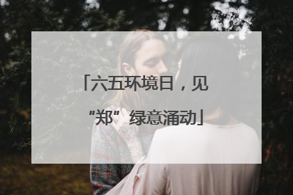 六五环境日，见“郑”绿意涌动