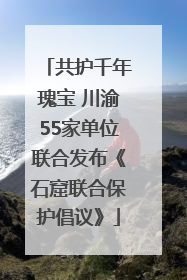 共护千年瑰宝 川渝55家单位联合发布《石窟联合保护倡议》