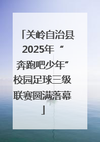 关岭自治县2025年“奔跑吧少年”校园足球三级联赛圆满落幕