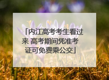 内江高考考生看过来 高考期间凭准考证可免费乘公交