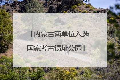 内蒙古两单位入选国家考古遗址公园
