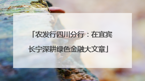农发行四川分行：在宜宾长宁深耕绿色金融大文章