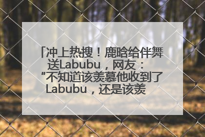 冲上热搜！鹿晗给伴舞送Labubu，网友：“不知道该羡慕他收到了Labubu，还是该羡慕鹿晗送他礼物”