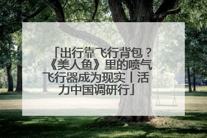 出行靠飞行背包？《美人鱼》里的喷气飞行器成为现实丨活力中国调研行